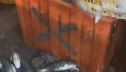 水产市场“麻醉鱼”调查：有商家称麻药有味会换水再卖，有无危害尚不明