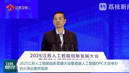 “单人成军”！江苏已率先布局，省长现场发出邀请