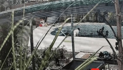 男子为母办葬礼前1天在泳池疑被电身亡，此前筹钱为母治疗癌症，才应邀经营三亚一民宿；触电源头或是抽水泵，当地：多部门已介入调查