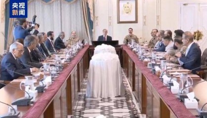 巴军获授权：自主决定对印反击