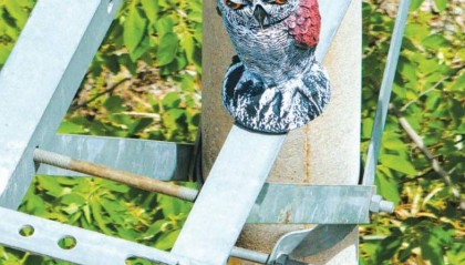 武汉：50多只“猫头鹰”在电塔上“站岗” 提醒鸟儿别靠近