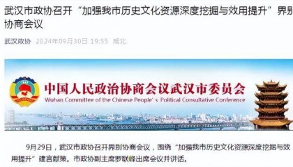 他已任武汉市政府副秘书长、市城运中心主任