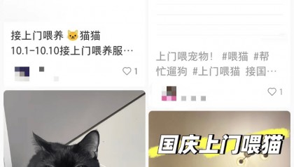 需求激增!男子长假连接270单,其中一笔收费8100元,“我有多套房,有双学位,客户很信任”;律师提醒→