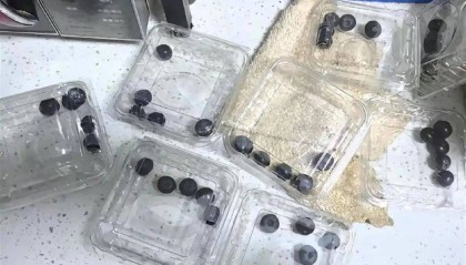 8盒蓝莓69.9元！网友收货后：每个盒子里只有5颗！最新回应