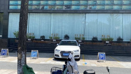 高温暴击下的杭州，行道树为何围上“绿肚兜”？