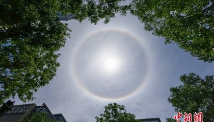 上海天空现巨大日晕 光圈完整清晰