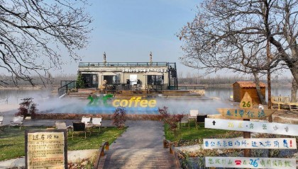 山东临沭县：“沂蒙好栗”片区成新晋网红打卡地