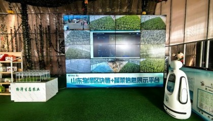 新春走基层 | 区块链溯源、大模型防虫,数智赋能寿光蔬菜产业发展