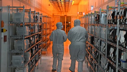 闻泰科技:荷兰想让本国企业接手,但没用,客户不会追随