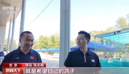 明天将放飞8万羽和平鸽、8万只气球，揭秘！