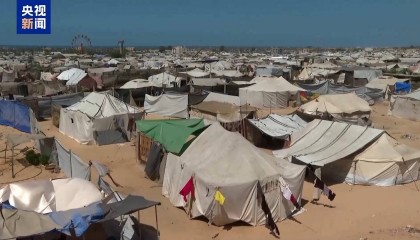 “巴勒斯坦被摧毁后才获西方多国承认”