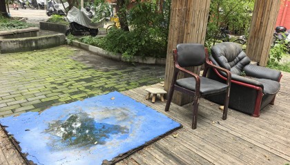 一晚上在家打死20多只蚊子！这些小区像捅了蚊子窝