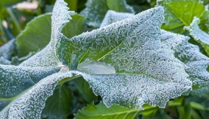 新一股冷空气14日夜间起影响广东，局地气温或再度“破0”伴冰霜冻