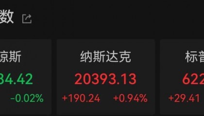 大型科技股反弹，标普500指数创新高