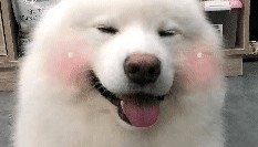 跌至7℃！深圳或迎3次冷空气，伴有降水+大风！时间就在……