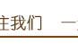 白茶基础知识