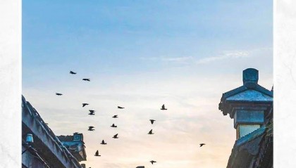 已确认！是尼格买提