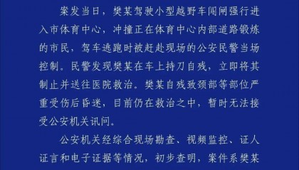 珠海恶性案件致35人遇难——樊某(男,62岁,离异)驾车冲撞市民,已刑拘
