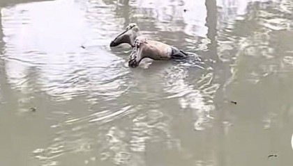 上海一男子报警称发现“浮尸”！多部门“全副武装”赶来，结局反转：捞起一双长筒雨鞋