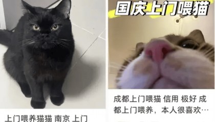 这个需求激增!一男子连接270单,其中一笔收费8100元