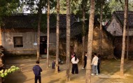 河南一大爷的院子因干净成网红打卡地,网友:像极了小时候家的样子,想拖鞋光脚丫子走