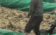 辽宁葫芦岛一男子酸菜池中抽烟吐痰,曝光视频令人反胃!省市两级市监介入