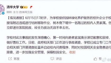 清华回应女教授被树砸身亡