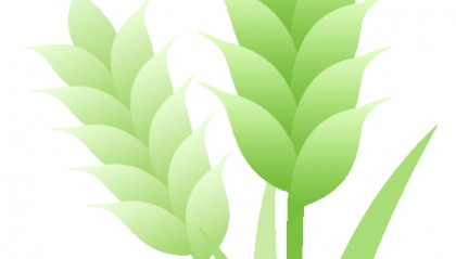 郑在绘报 | 今日小满