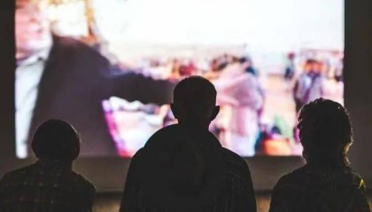 2024年十大财务造假公司