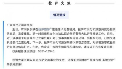 拉萨通报出租车唐卡消费骗局：已立案处理