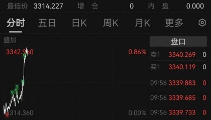 黄金创新高！突破3340美元