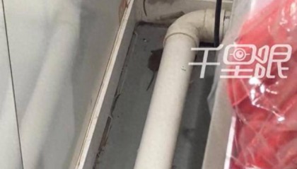 网曝蜜雪冰城一门店有多只老鼠横行,涉事门店员工回应