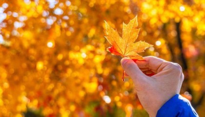 霜降时节,去哪里寻红叶?收好“秋叶地图”