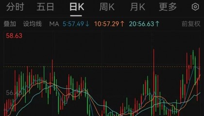 000538宣布,每10股分红10.19元