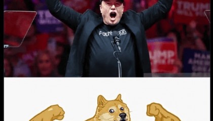 doge是什么意思(doge币今日价格行情)