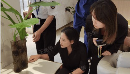 新规施行！广州多区开展蚊媒执法行动，有单位被处罚