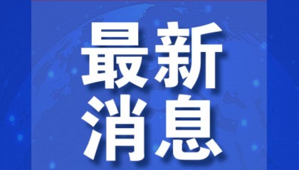 梅德韦杰夫:“急切期待俄罗斯礼炮鸣放”