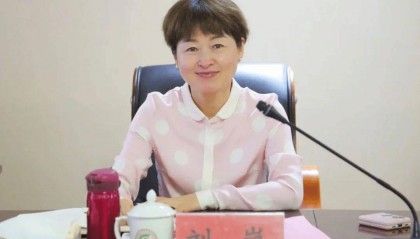 官宣！副市长刘岚落马