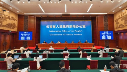 云南省组织5.9万名离退休干部志愿者发挥“银发力量” 累计服务时长268.3万小时