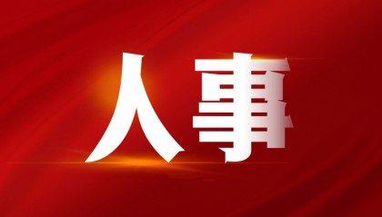 广东省人民政府任免工作人员