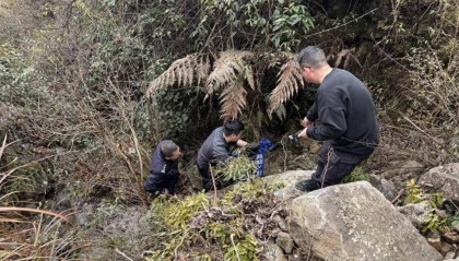 海拔900多米，嫌疑人竟连夜爬七八个小时山潜逃！蓝某已被依法采取刑事强制措施