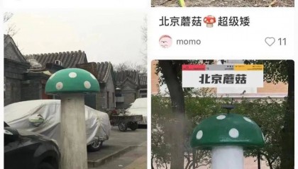 北京街头的“绿色蘑菇”，究竟是干什么的？