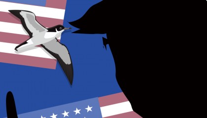 你好,特朗普2.0时代