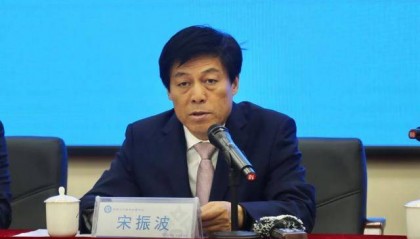 宋振波,主动投案