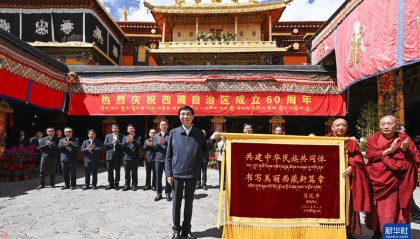 中央代表团在拉萨看望慰问各族干部群众 王沪宁参加活动