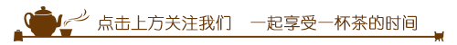 白茶基础知识