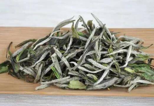 白茶基础知识