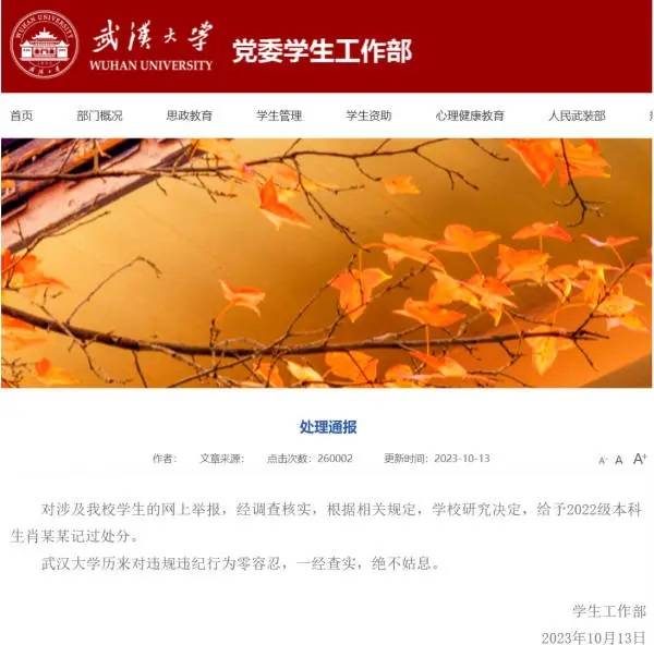 武大全面调查复核图书馆案，这次别推给上级了