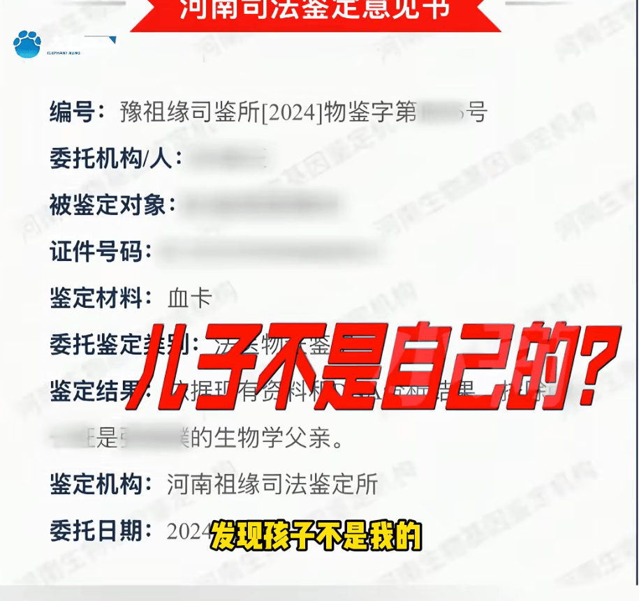 "天塌了，我一生都毁了", 男子称养了20年才发现儿子非亲生！前妻坚决否认
