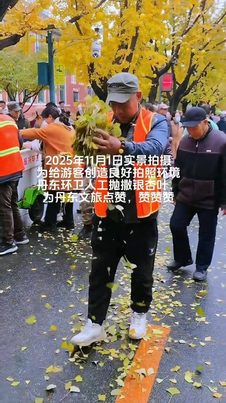 辽宁丹东银杏大道有环卫工人手动抛撒落叶?文旅局:路面落叶较少,从别处收集银杏叶创造良好拍照环境